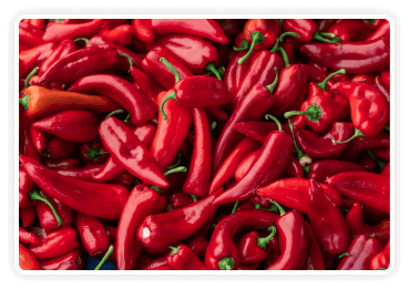 Andalusian Red Pepper capsaicin thermogenic