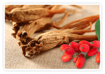 Berberine Korean Red Ginseng thermogenic support